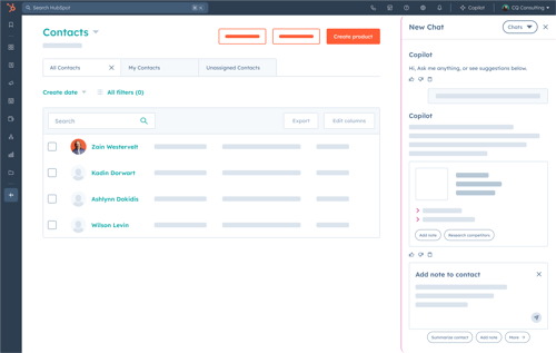 Copy of SUIs_Breeze_Copilot_sales persona